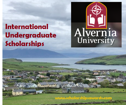 Alvernia University International Undergraduate Scholarships 