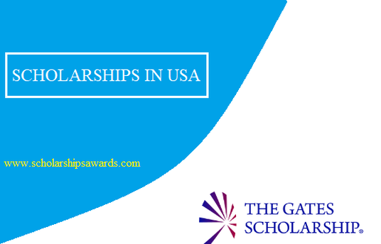 Bill Gates Scholarship Program For Undergraduate Students